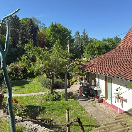 度假居 Haus Im Ruebental 巴特迪克海姆